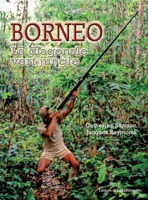 Livre : Bornéo, la diagonale vert jungle